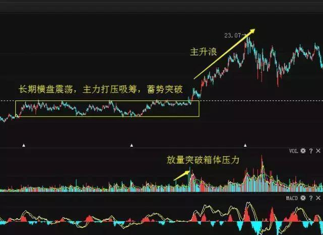 下一轮牛市预测|词语释义解释落实