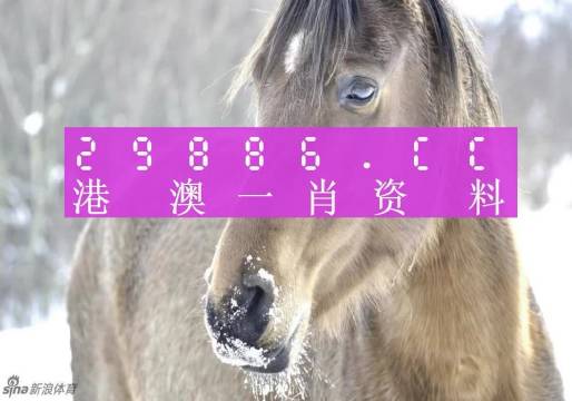 澳门平特一肖100%免费|词语释义解释落实