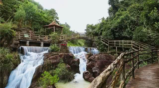 广东省花海景点，绽放的自然之美