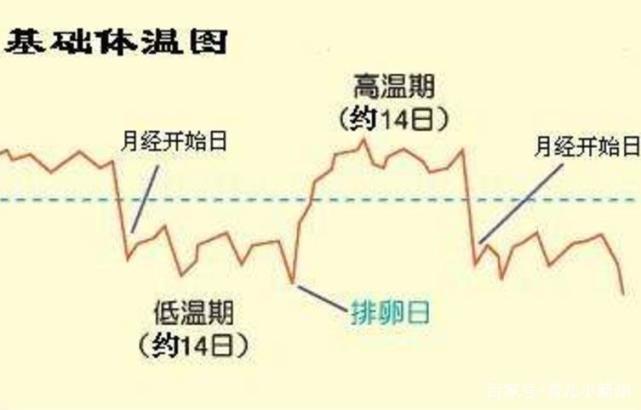 女人每个月都会排卵吗，深入了解女性生理周期