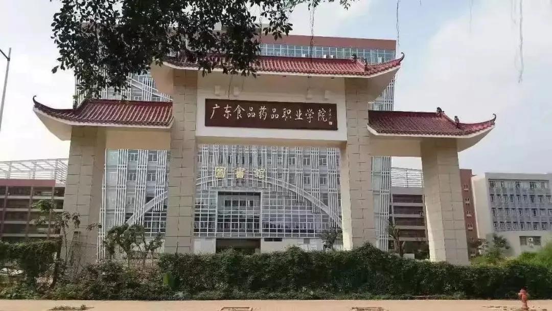 广东省招标师考试，入门、发展与挑战