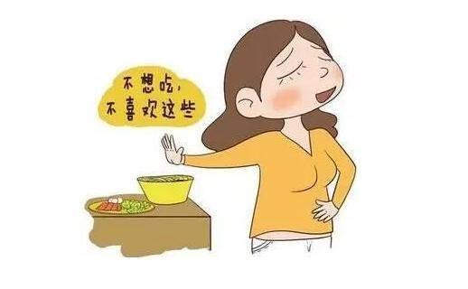 孕期六个月营养需求与饮食建议