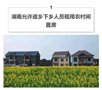 广东省的村服现象，探寻背后的原因与解决方案