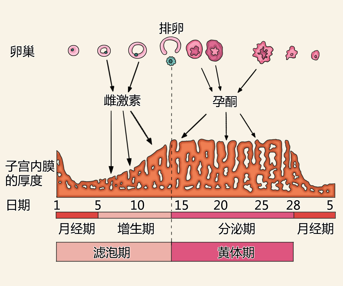 第1274页