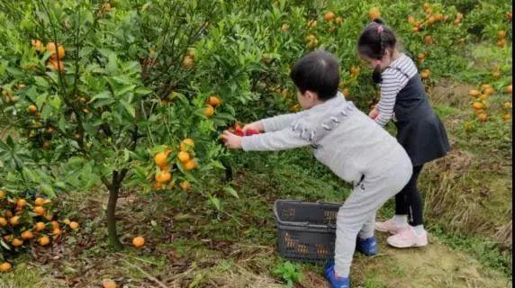 广东省四会市地图概览