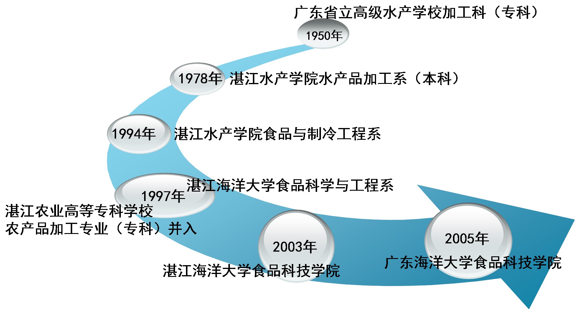 广东省江南理工，历史沿革与现今发展