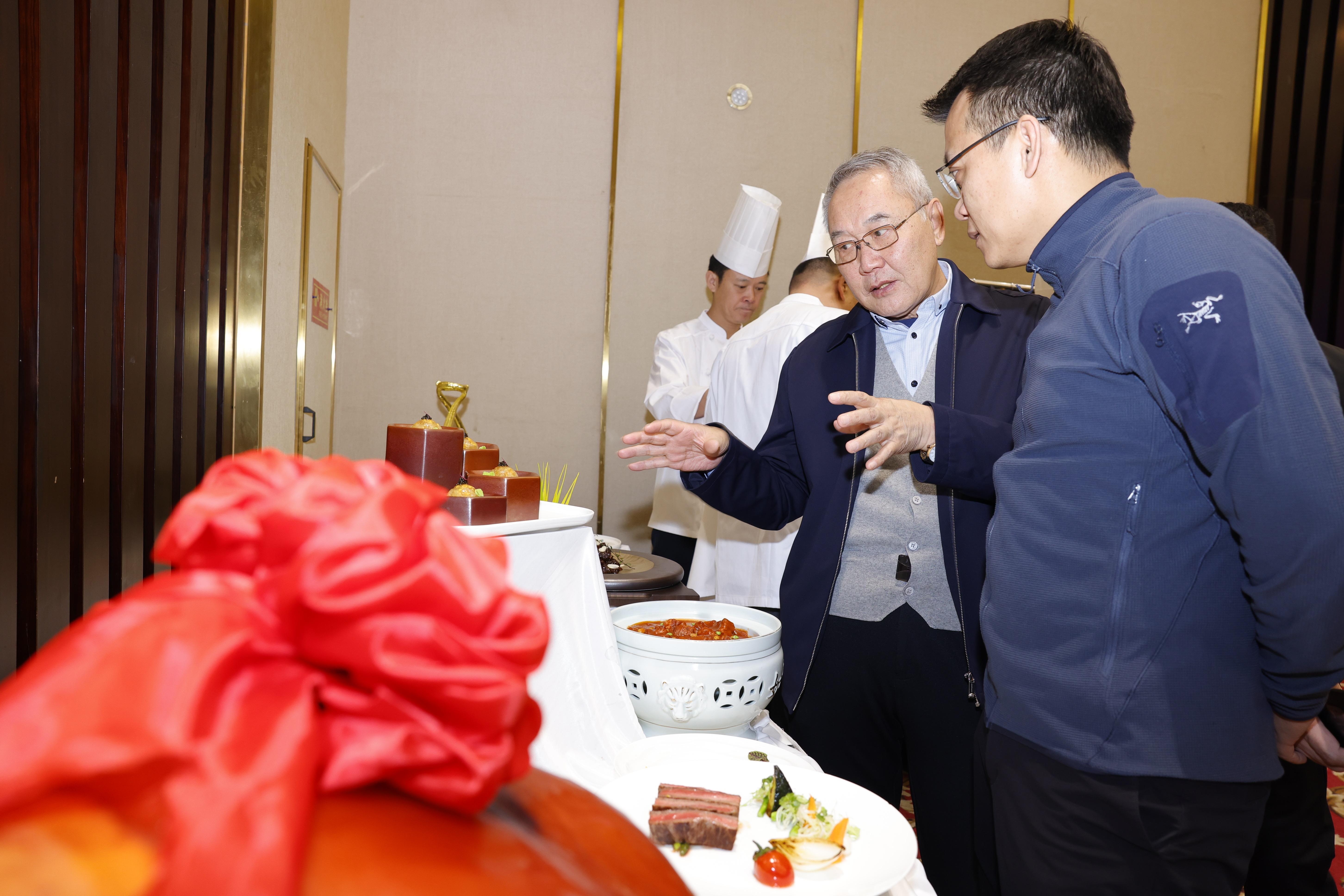 三个月大的吉娃娃的饮食指南，营养丰富的食物选择与喂养建议