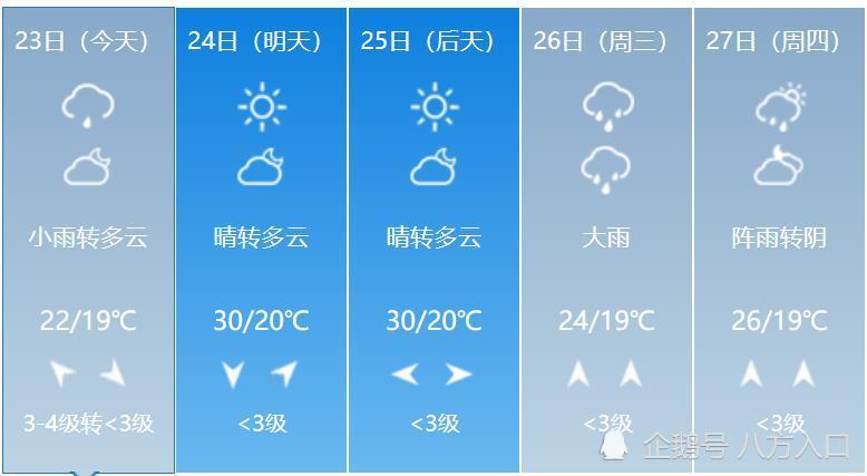 2024年12月 第241页