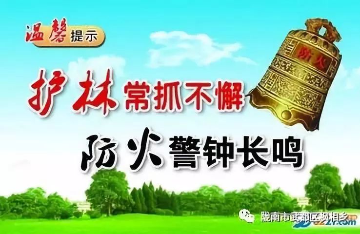 广东省最新防火通知图片，守护家园，从防火做起