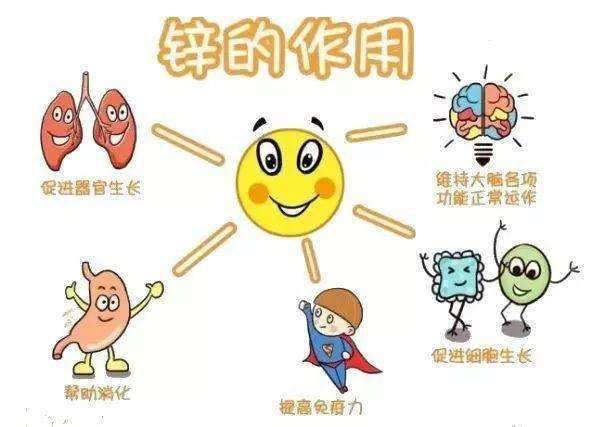 宝宝四个月缺锌，如何科学补充锌元素