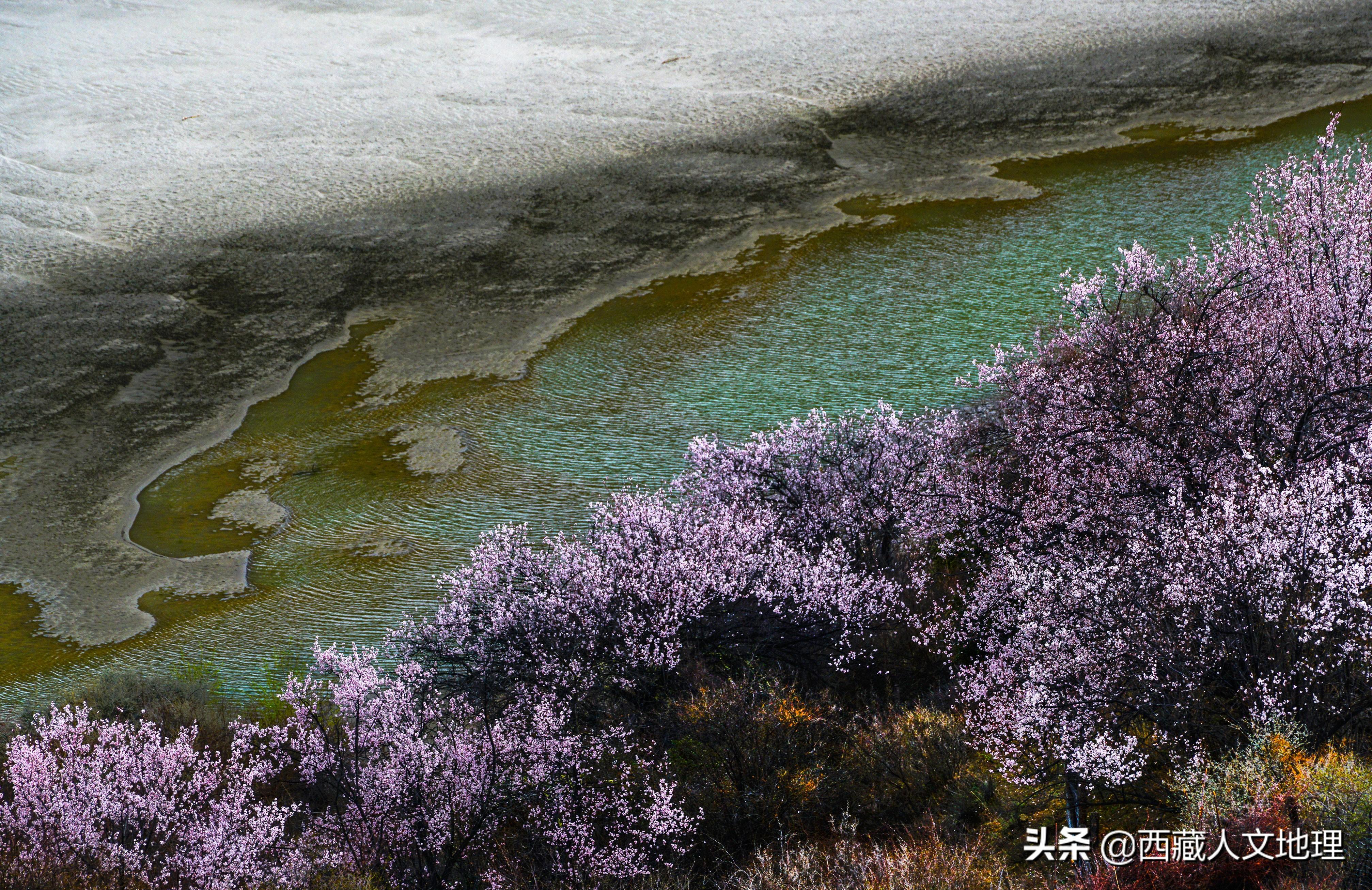 月经晚半个月，原因、影响与对策