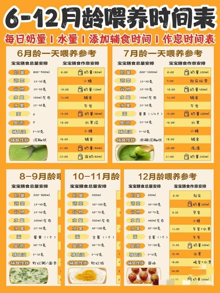 十一个月宝宝辅食安排指南