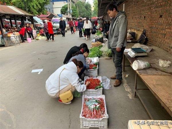 车厘子能冷藏几个月？深度解析车厘子的冷藏时间与条件