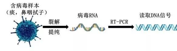 湖州最新病毒，深入了解与应对之道