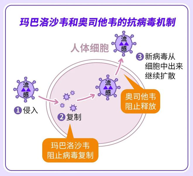 2024年12月 第33页