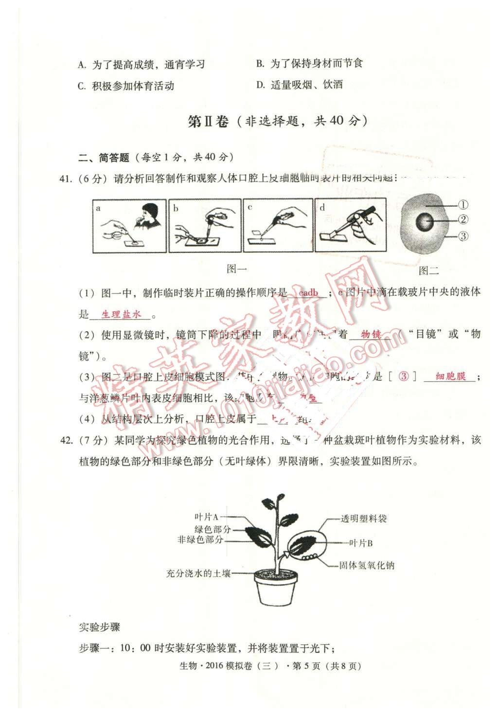 红旺蓝弱绿跟齐，天堂山一吕仙姑。打一精准生肖动物|词语释义解释落实