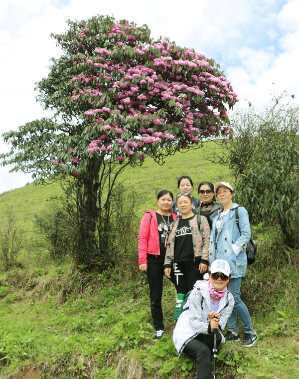 艳阳高照暖大地 一马平川好前程,指什么肖|联通解释解析落实