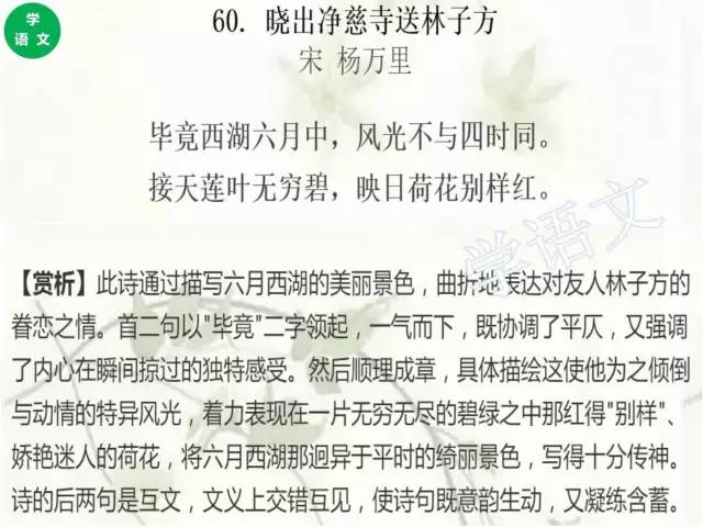 常赌未必全尽输平心静气可和详打一动物|词语作答解释落实: