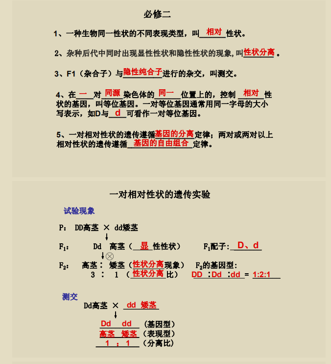 赢钱一句话：荆南杞梓聚一堂。打一精准生肖动物|精选解释解析落实