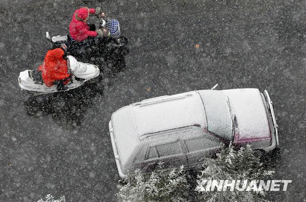 雪拥路滑成灾殃 披褂上阵尚维艰什么生肖|全面贯彻解释落实