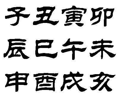 子天丑地人寅出,三才八封定乾坤是什么动物|精选解释解析落实