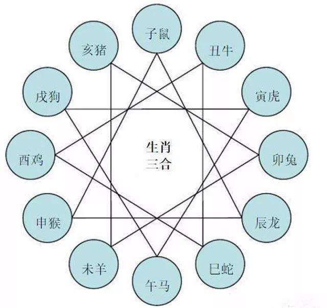 两树四枝八环绕 三五来码引六合 打一生肖|文明解释解析落实