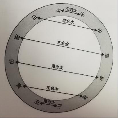 寅亥六合地支中，主大夫大鸡狗升。猜一生肖|词语作答解释落实