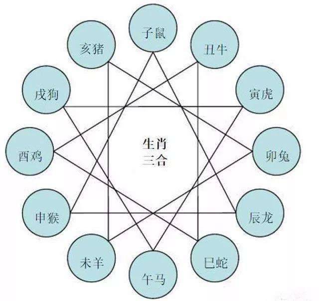 二八合数定三九是什么生肖|精选解释解析落实