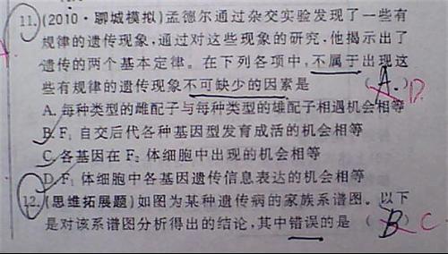 有六有二望不尽，四二连一等动静。打一精准生肖动物|词语释义解释落实