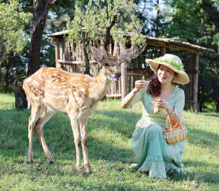 千里寻夫孟美女，二三相合又相分。打一精准生肖动物|全面贯彻解释落实