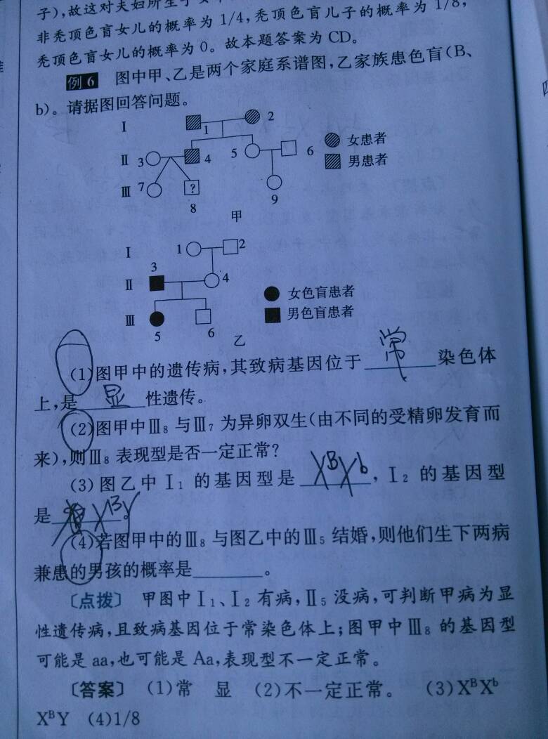 取下定格多富贵，四十一一定相连打一生肖动物|全面释义解释落实