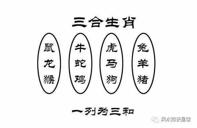 狗拿耗子三更天,龙虎争一伴二七打一生肖|全面贯彻解释落实