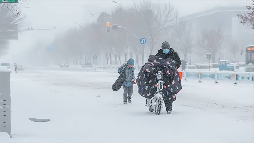 雪拥路滑成灾殃，披褂上阵尚维艰 是什么生肖|精选解释解析落实