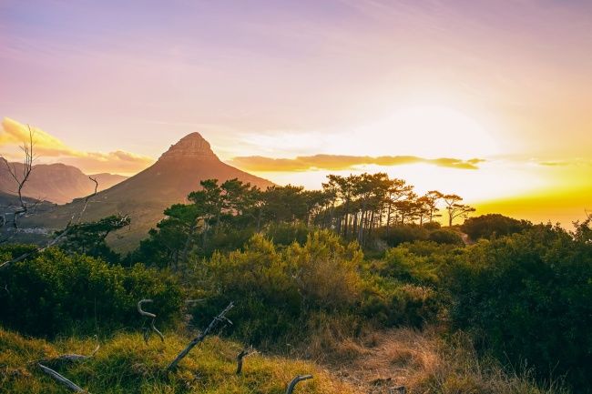 山川大地景色美，福星高照家富有。打一精准生肖动物|精选解释解析落实