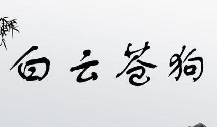 2025年1月6日 第13页