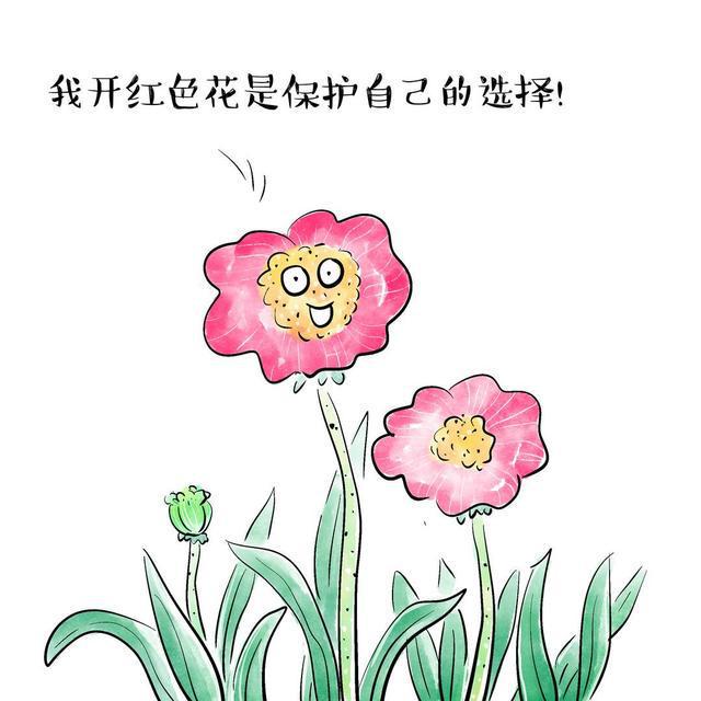 五颜六色景如画，十八姑娘一朵花是什么生肖动物|全面释义解释落实