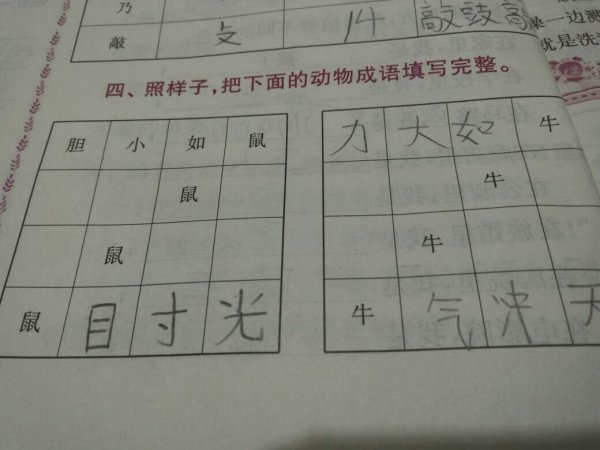 信箱红字：一马平川是什么生肖动物|词语释义解释落实