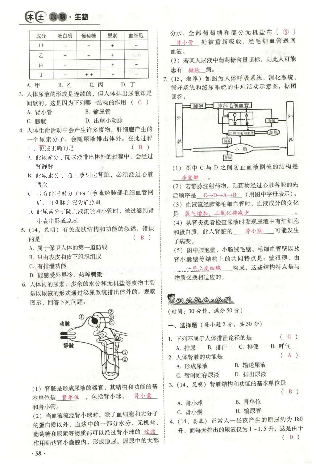 尽情敛取，入画图。打一精准生肖动物|词语释义解释落实