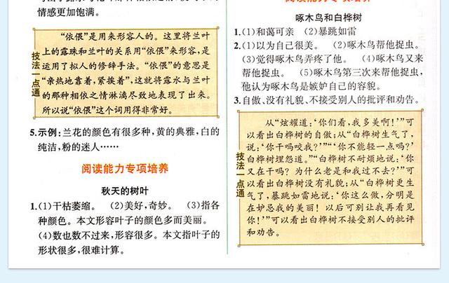 红颜薄命。打一精准生肖动物|全面释义解释落实