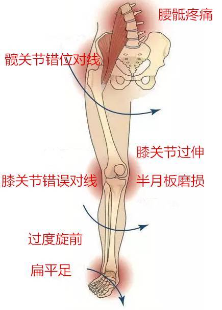 立定脚跟撑起脊是代表什么生肖猜准确动物