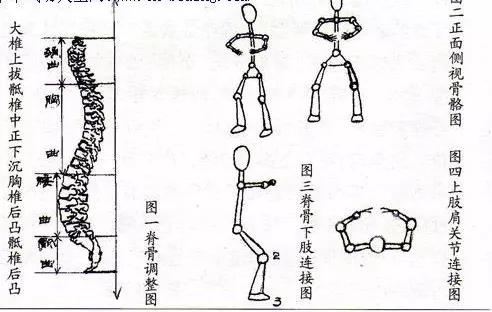 立定脚跟撑起脊是什么生肖动物