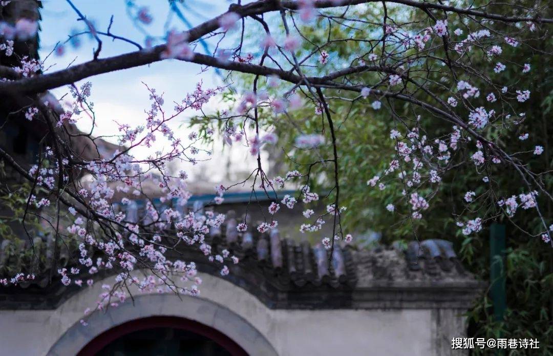 花红柳绿不夜天，倚香偎玉堪流连猜一谜语生肖动物