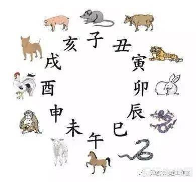 梦境玄机：酒池肉林猜一谜语生肖动物|全面释义解释落实