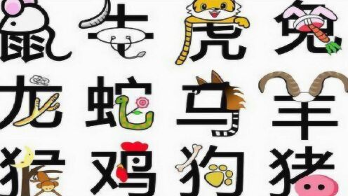 欲钱：找大大小小的生肖猜一谜语生肖动物|全面贯彻解释落实