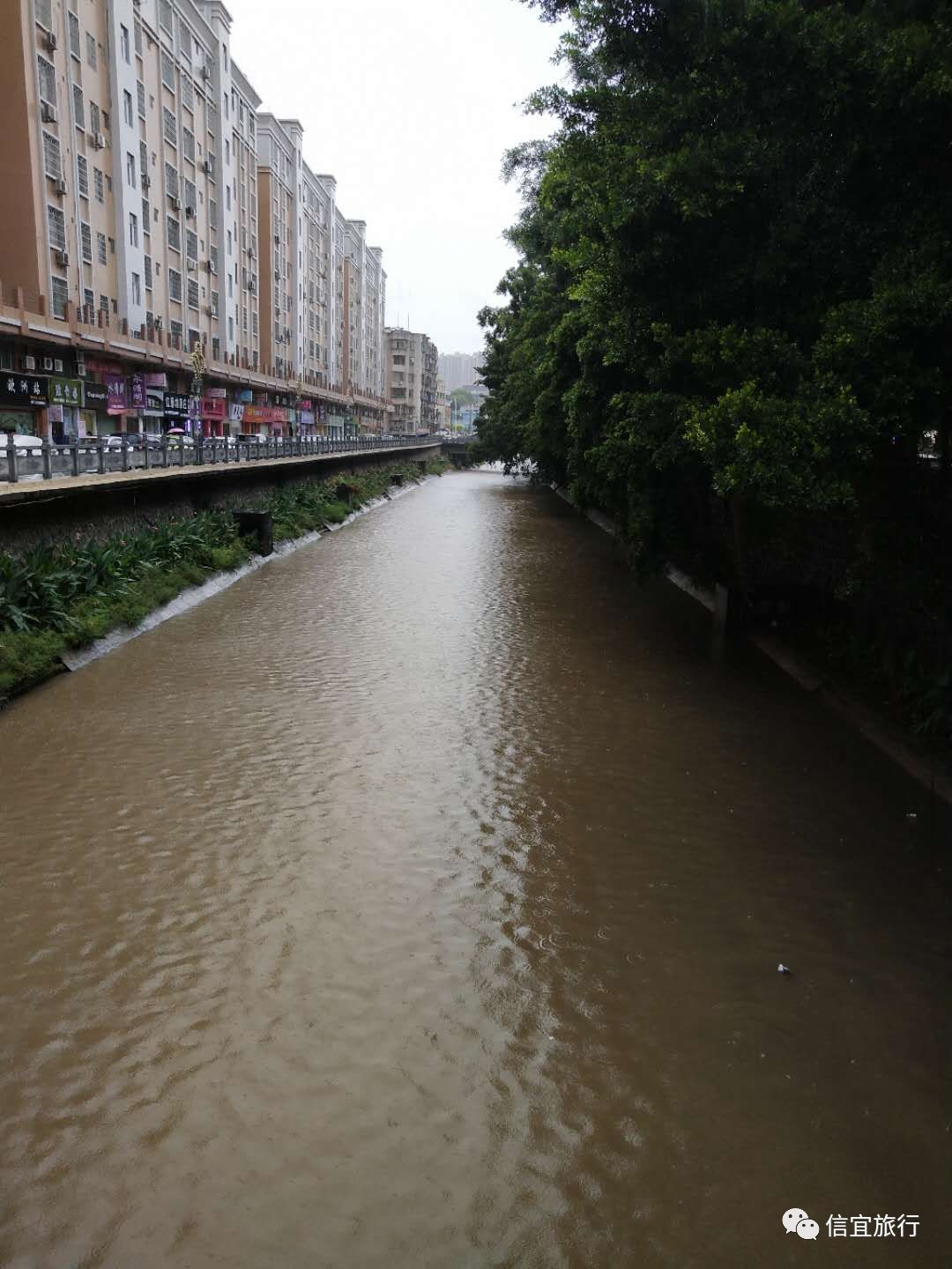 信宜最新台风消息