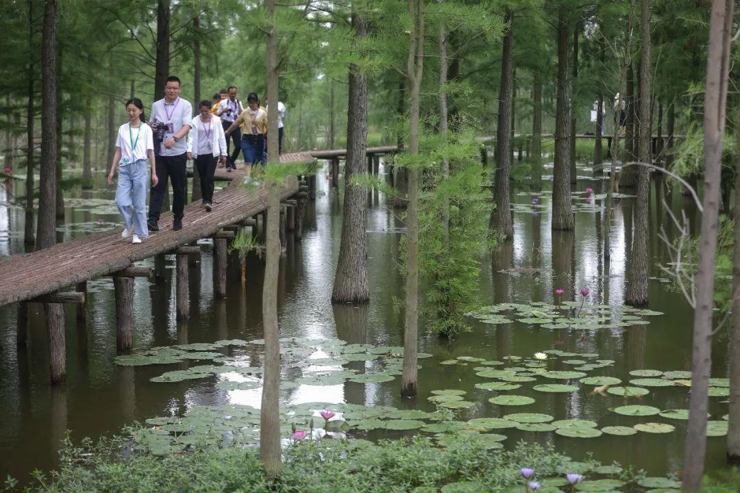 国内最新降雨