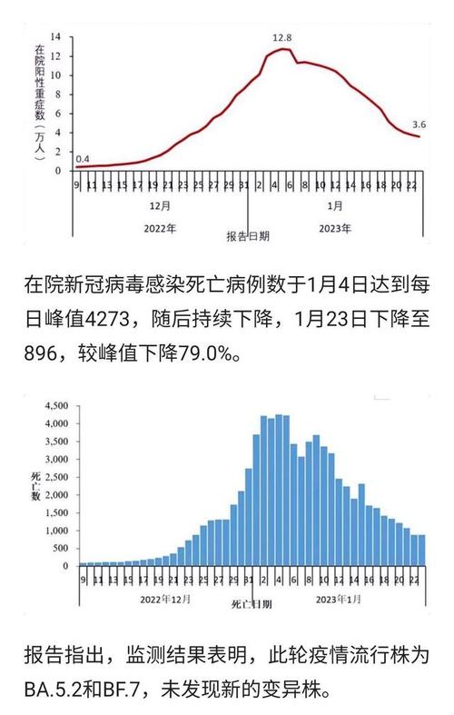 国最新疫疫情