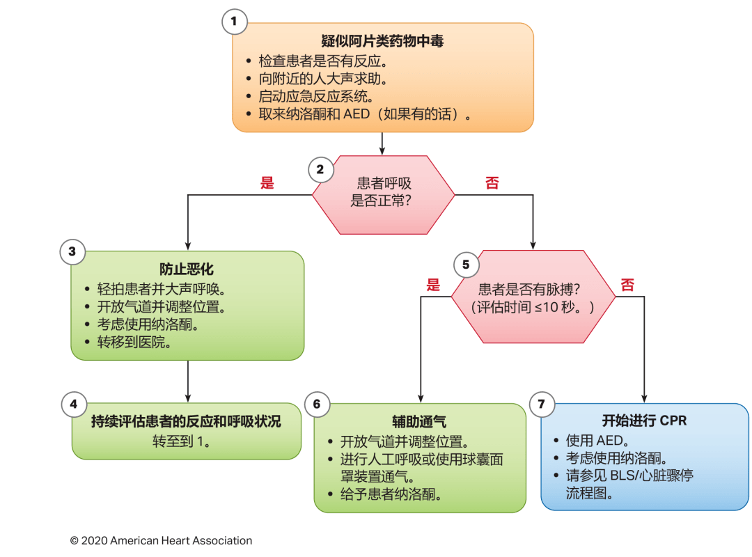 最新急救复苏