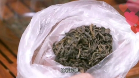 老张聊茶最新