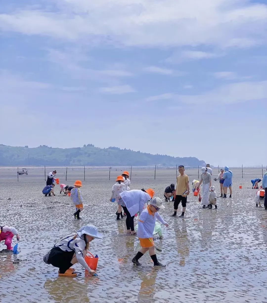 花海间赶海最新